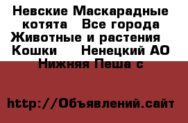 Невские Маскарадные котята - Все города Животные и растения » Кошки   . Ненецкий АО,Нижняя Пеша с.